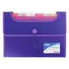 Mapa Strigo Plastic Extensibil A4 6 Compartimente Mov SF031