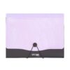 Mapa Strigo PP, A4, 13 compartimente, inchidere cu elastic, clips metalic, mov SF050