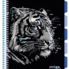 Caiet cu spirala si separatoare, STRIGO PADS Project Book TIGRU,  A4, Dictando, PADS092