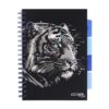 Caiet cu spirala si separatoare, STRIGO PADS Project Book TIGRU, B5, Matematica, PADS024