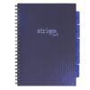 Caiet cu spirala si separatoare, STRIGO PADS Project Book Basic A4, Matematica, PADS054