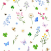 Caiet scolar STRIGO NATURE, A5, dictando, 48 file, hartie 70g FSC, coperta glossy laminate RO011