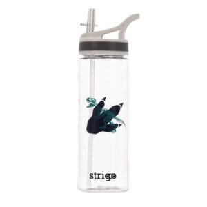 Bidon Strigo Dinosaur Colection, 600 ml SSC270