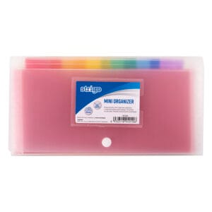 Mapa plic cu capsa DL 6 compartimente colorate, Strigo transparent SF029