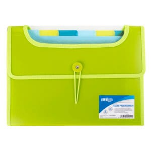 Mapa Strigo Plastic Extensibil A4 6 Compartimente Verde SF033