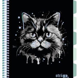Caiet cu spirala si separatoare, STRIGO PADS Project Book PISICA, A4, Dictando, PADS091