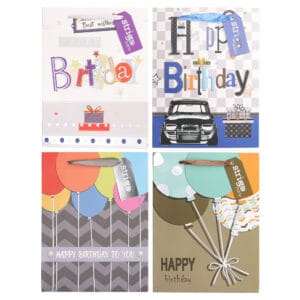 Set 4 pungi hartie 18x23(h)x10cm 210 gsm. PART001