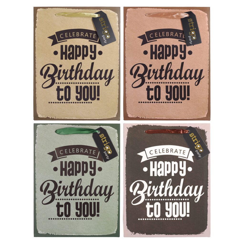 Set 4 pungi hartie 18x23(h)x10cm 210 gsm. PART003