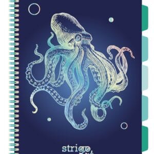 Caiet cu spirala si separatoare, STRIGO PADS Project Book CARACATITA, A4, Matematica, PADS048