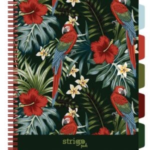 Caiet cu spirala si separatoare, STRIGO PADS Project Book TROPICAL, A4, Matematica, PADS060