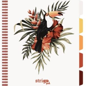 Caiet cu spirala si separatoare, STRIGO PADS Project Book TROPICAL, A4, Matematica, PADS061