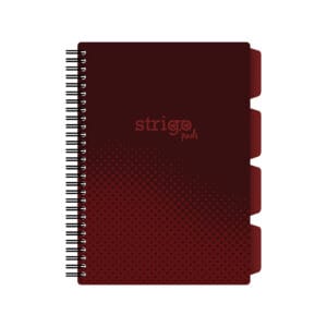 Caiet cu spirala si separatoare, STRIGO PADS Project Book Basic B5, Matematica, PADS059