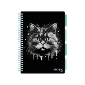 Caiet cu spirala si separatoare, STRIGO PADS Project Book PISICA, B5, Dictando, PADS095