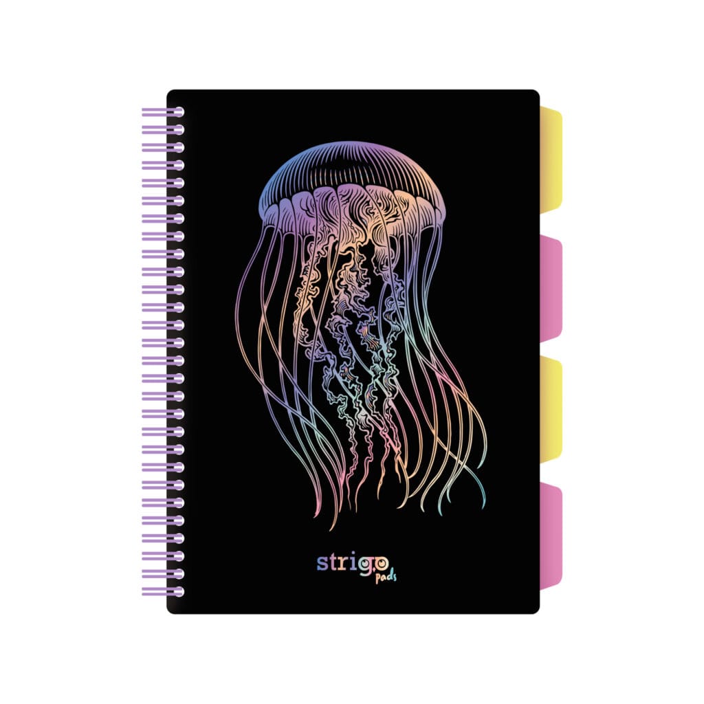Caiet cu spirala si separatoare, STRIGO PADS Project Book MEDUZA, B5, Matematica, PADS052