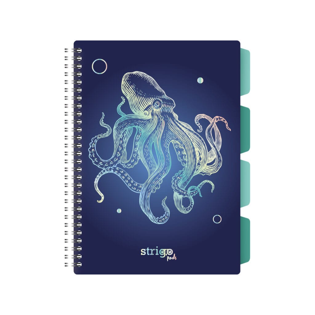 Caiet cu spirala si separatoare, STRIGO PADS Project Book CARACATITA, B5, Matematica, PADS051