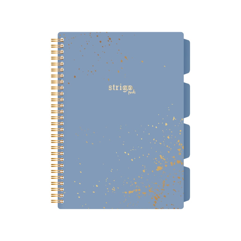 Caiet cu spirala si separatoare, STRIGO PADS Project Book Marmorat B5, Matematica, PADS031