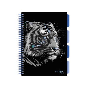 Caiet cu spirala si separatoare, STRIGO PADS Project Book TIGRU, B5, Dictando, PADS096