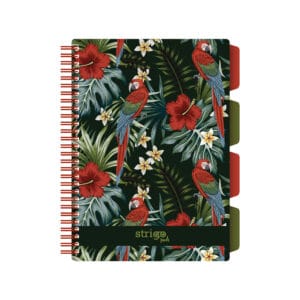 Caiet cu spirala si separatoare, STRIGO PADS Project Book TROPICAL, B5, Matematica, PADS063